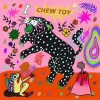 chew toy