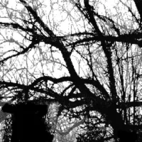 dayplanner band photo